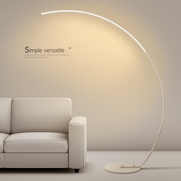 Sleek Minimalist Floor Lamp